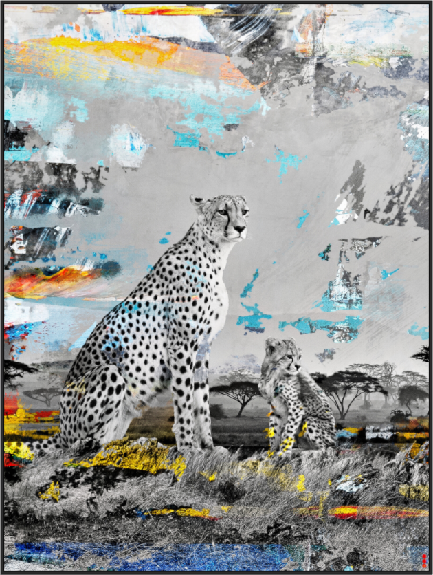 Main image FA WC Ladebayo III