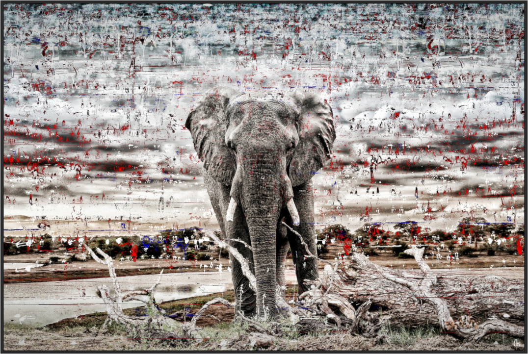 Main image FA WC Ajani I