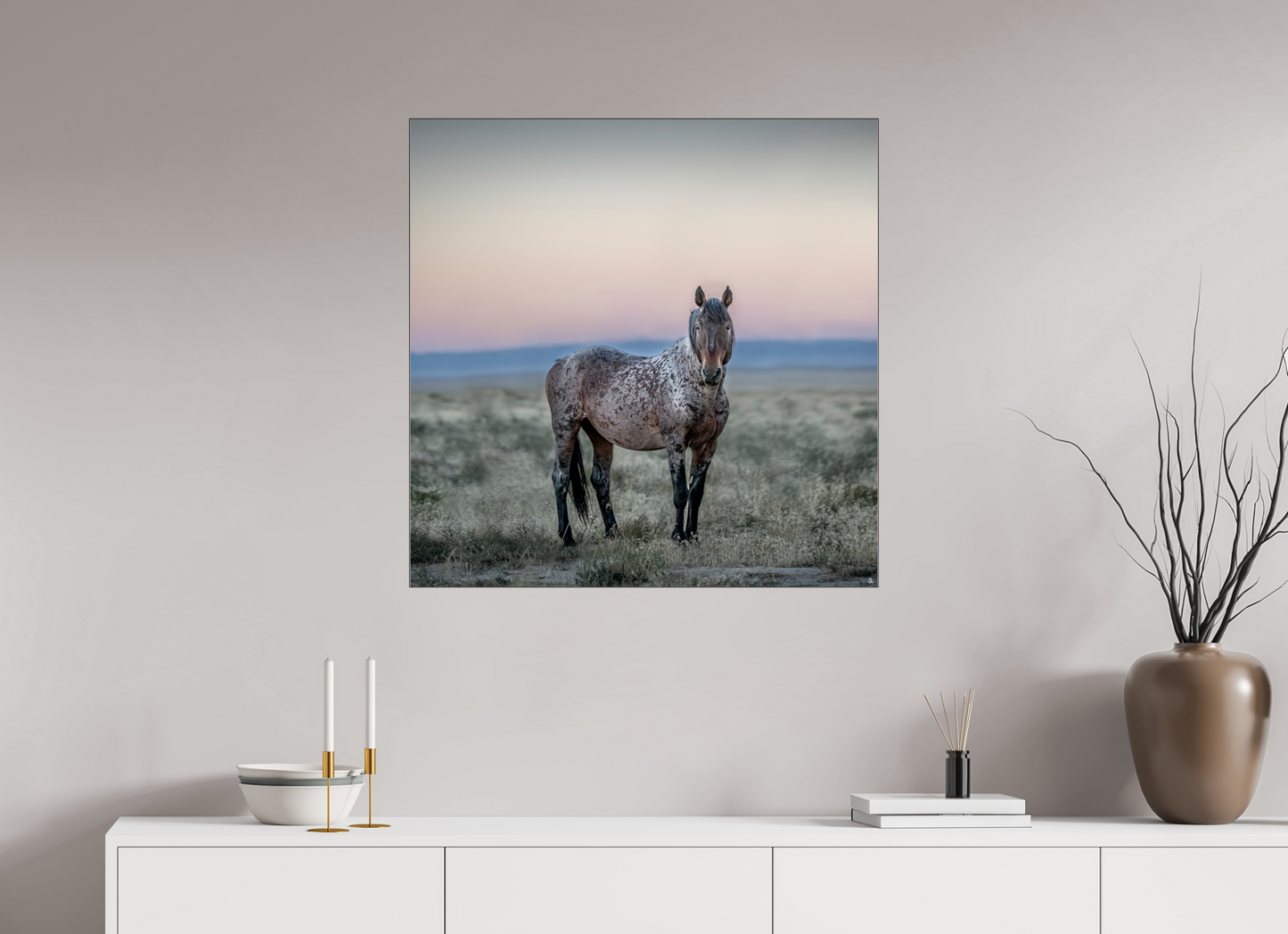 Wild Mustangs Ayita II