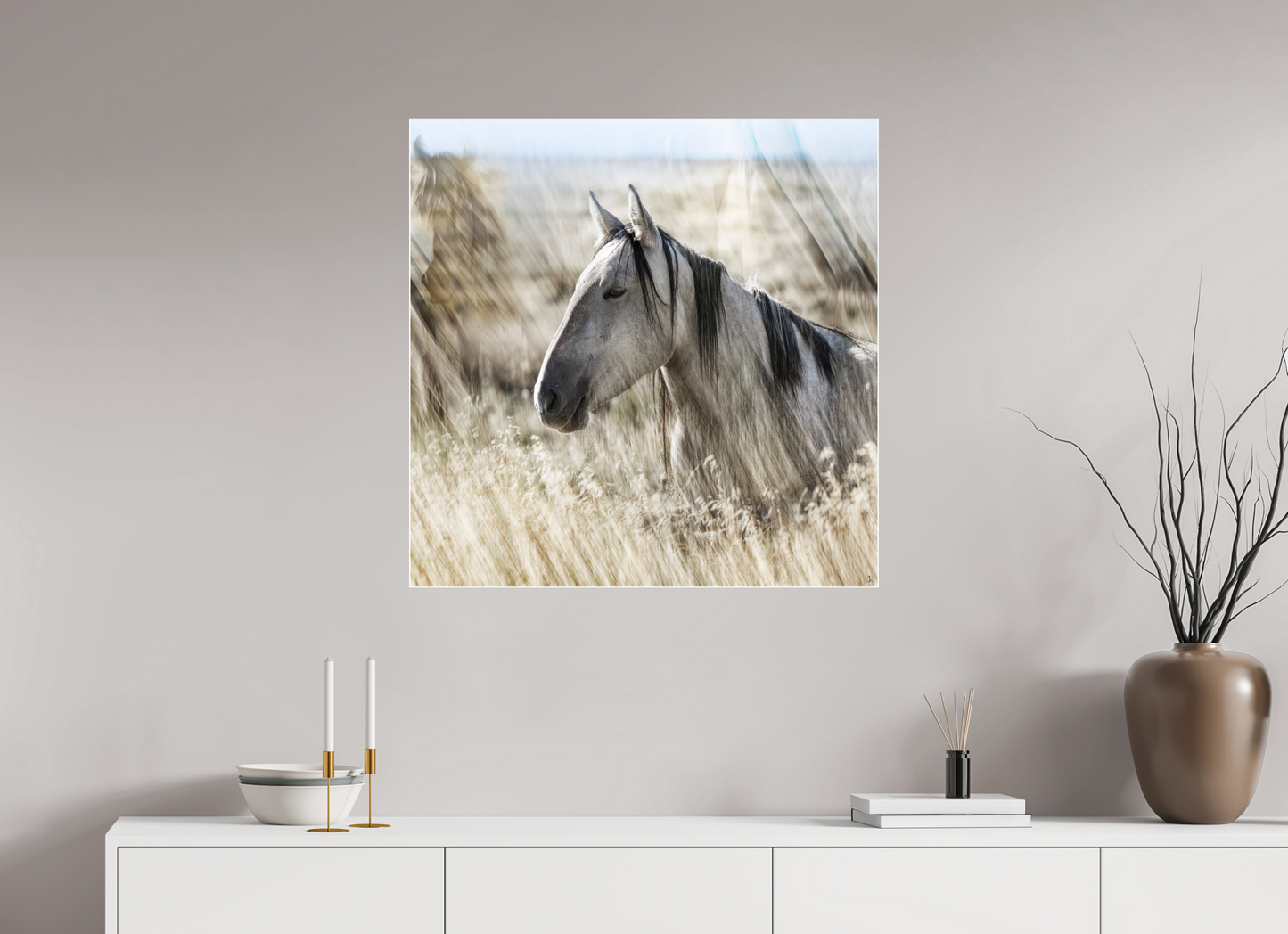 WILD MUSTANGS Cashesegra I
