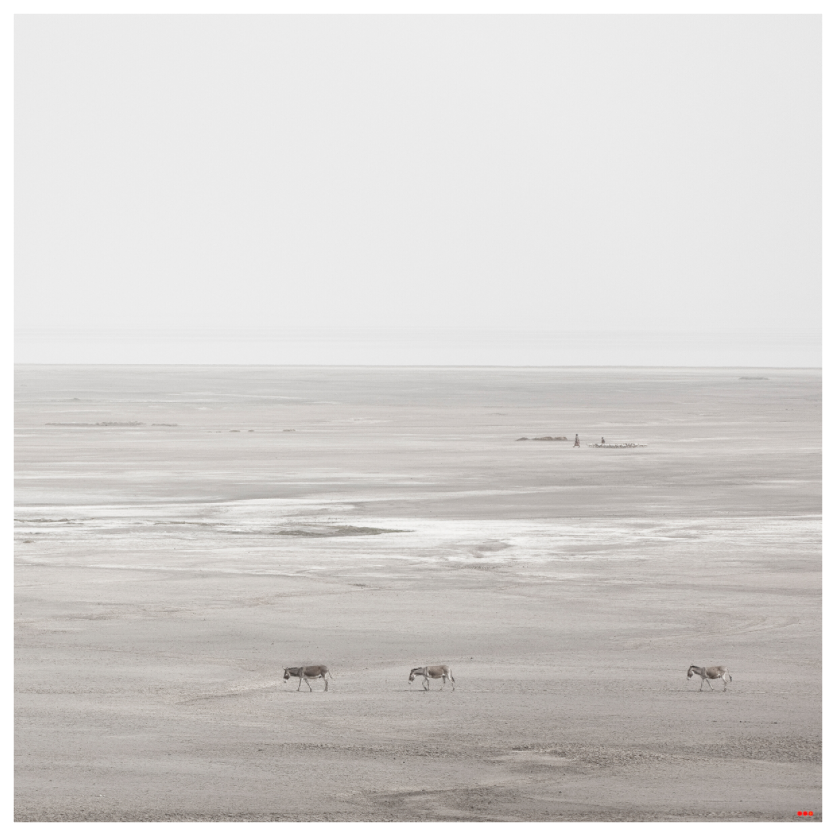 Main image RED³ PH Danai II