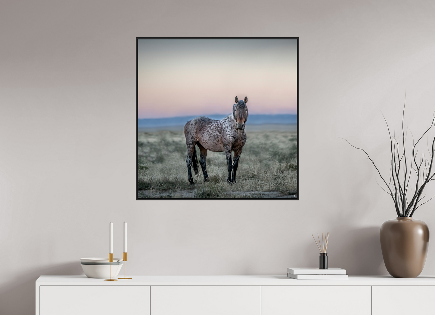 Wild Mustangs Ayita II