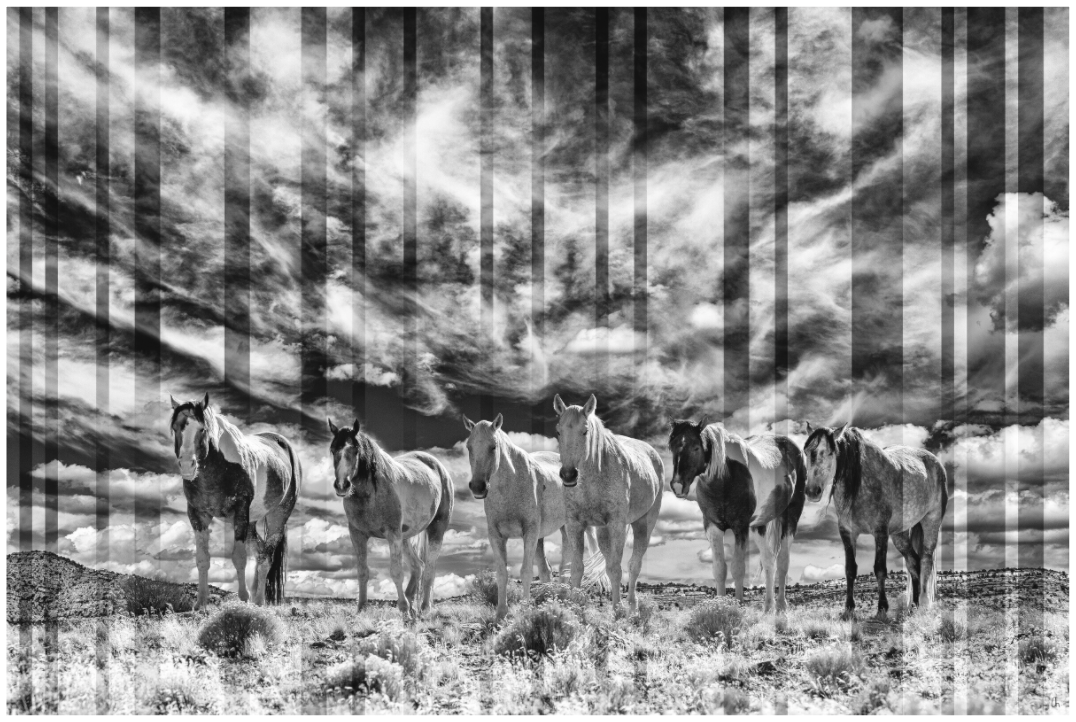WILD MUSTANGS Bidziil I