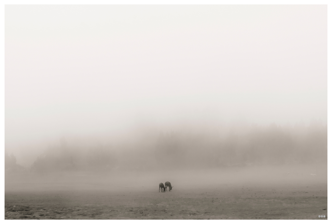 Main image RED³ PH Mamello I