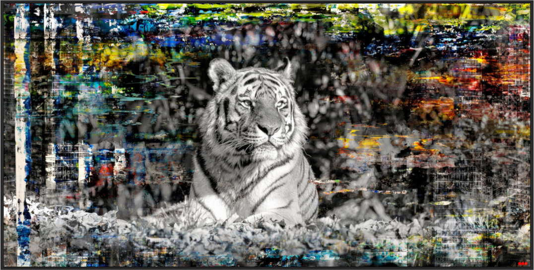 Main image FA WC Lubaya V