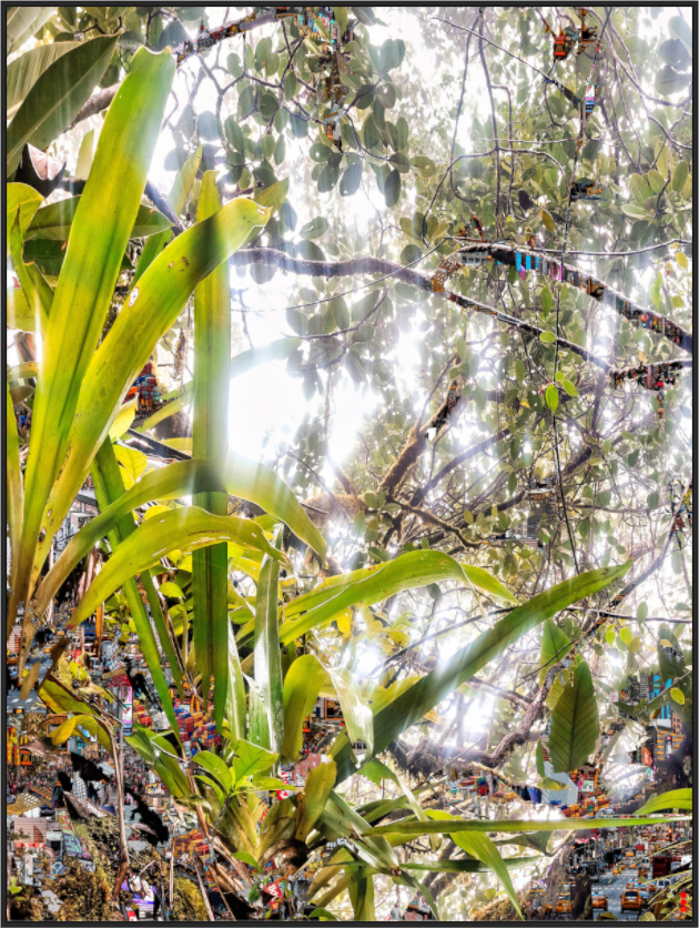 Main image FA HP Amara III