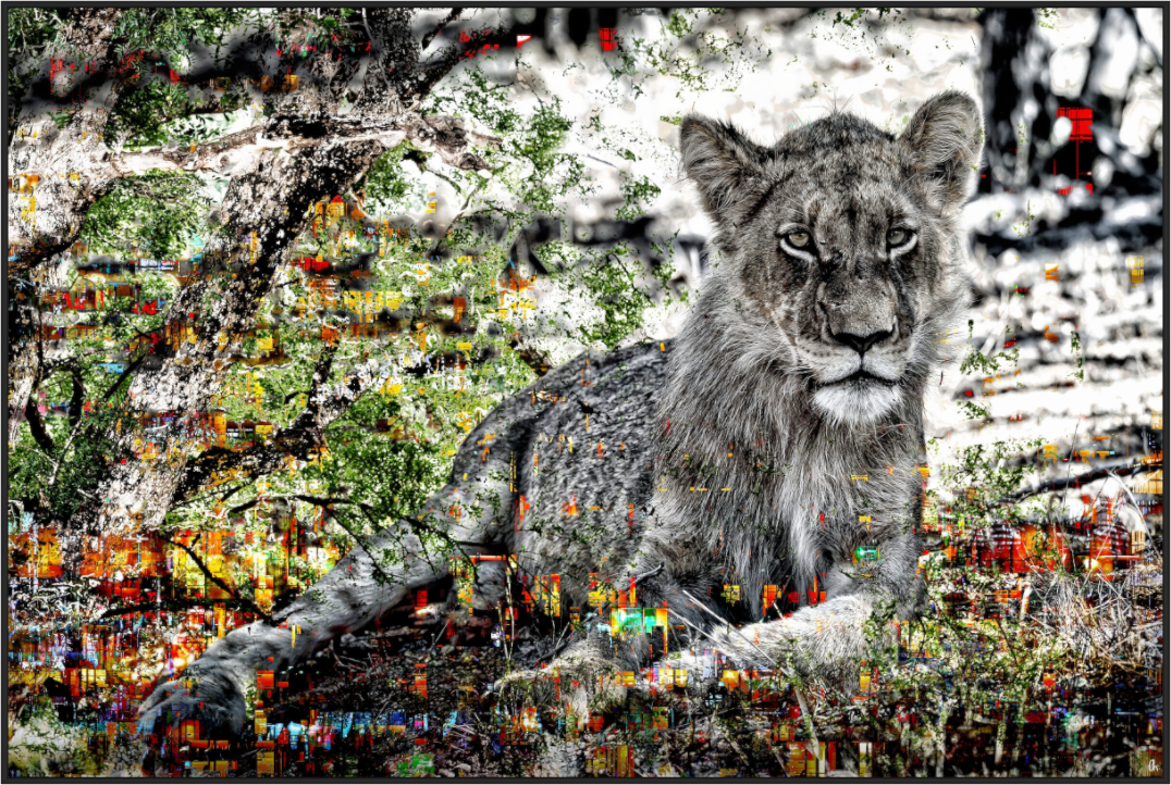 Main image FA WC Aisha I