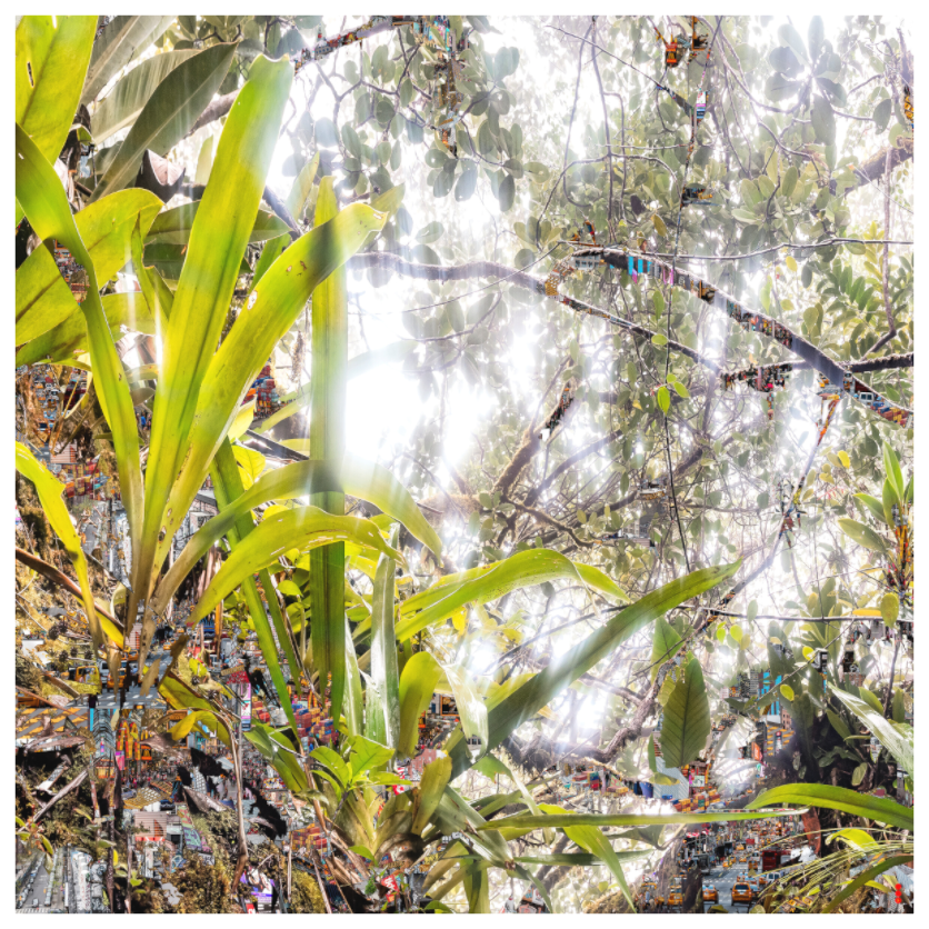 Main image RED³ HP Amara II