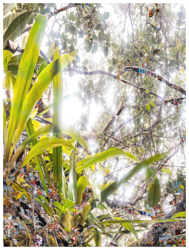 Main image RED³ HP Amara III