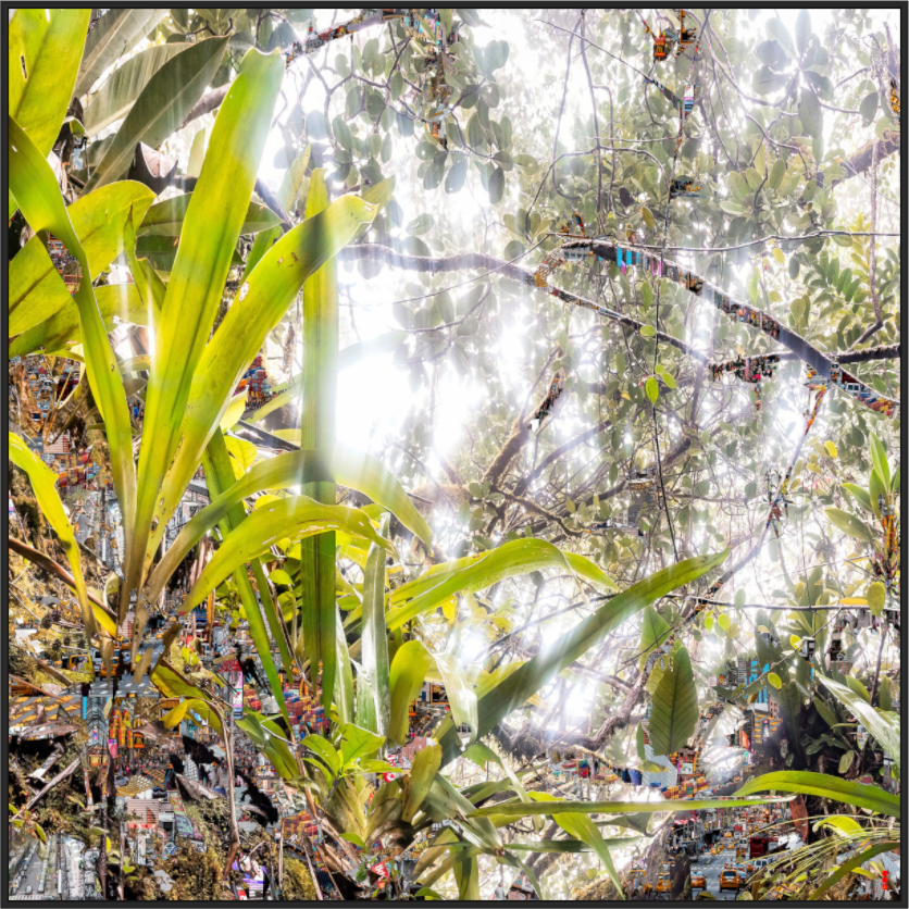 Main image FA HP Amara II