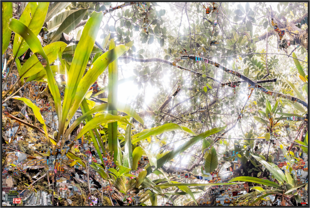 Main image FA HP Amara I