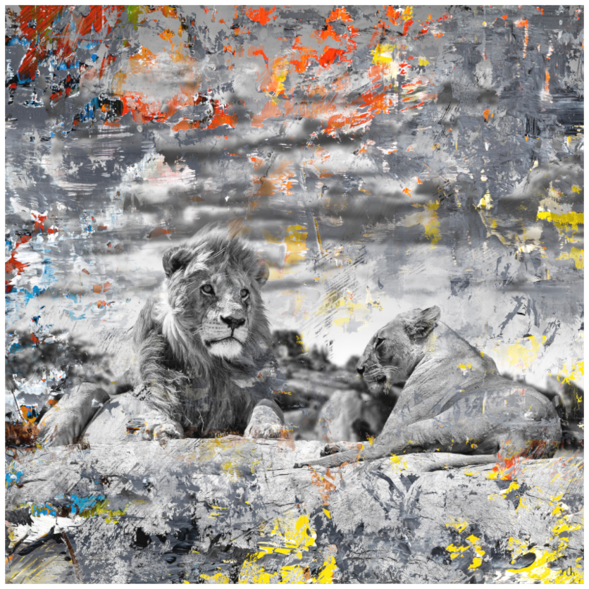 WILD CIRCUS Amalaya II