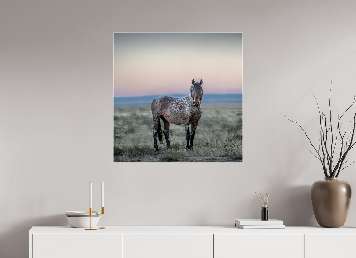 Wild Mustangs Ayita II