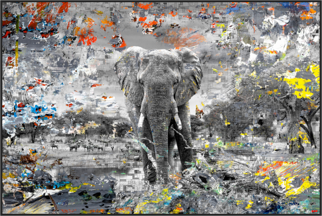 Main image FA WC Kajika I