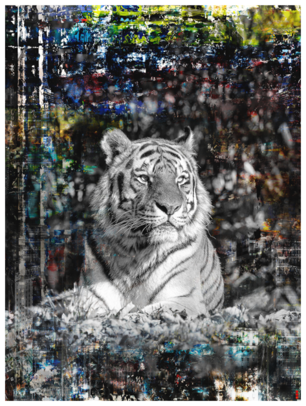 Main image RED³ WC Lubaya III