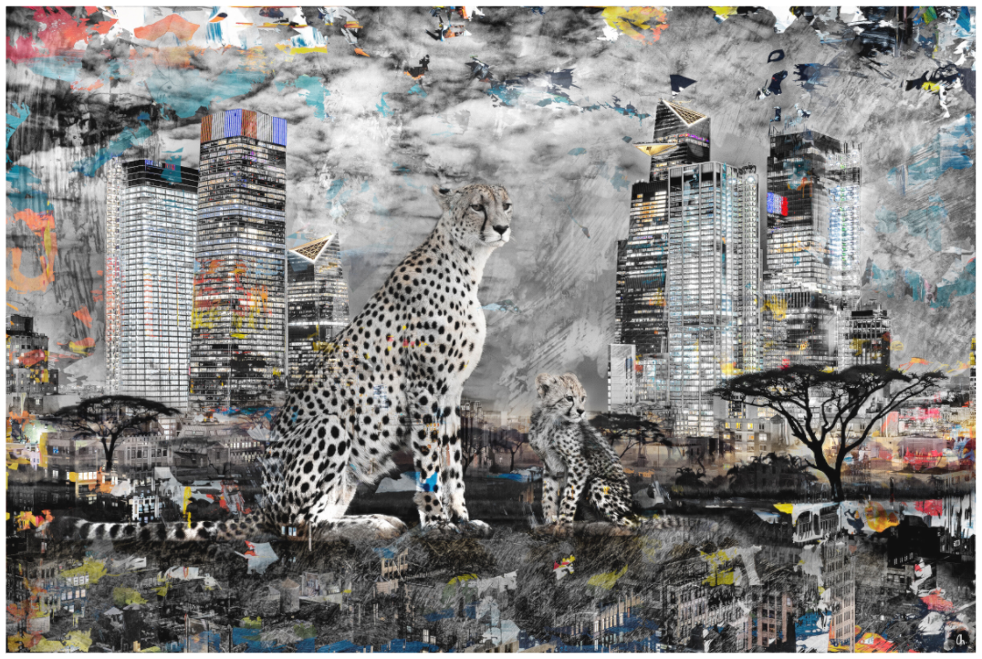 WILD CIRCUS Kaniya I