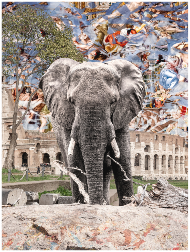 WILD CIRCUS Abenya III