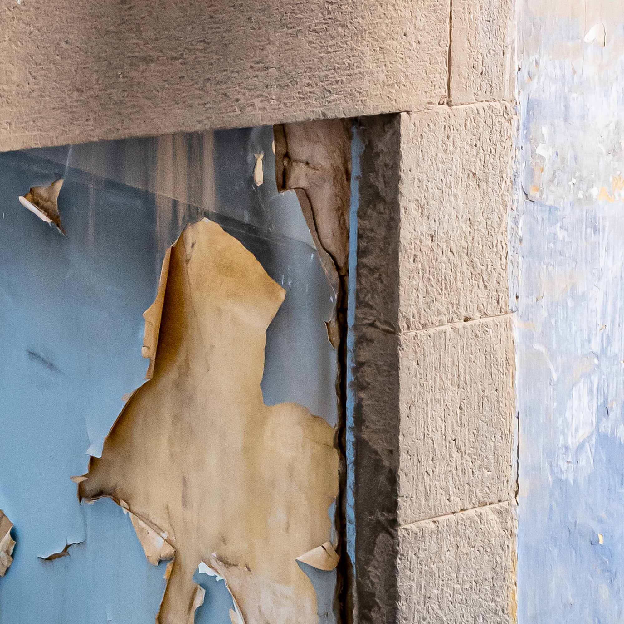 RED³ PH Siddhartha III