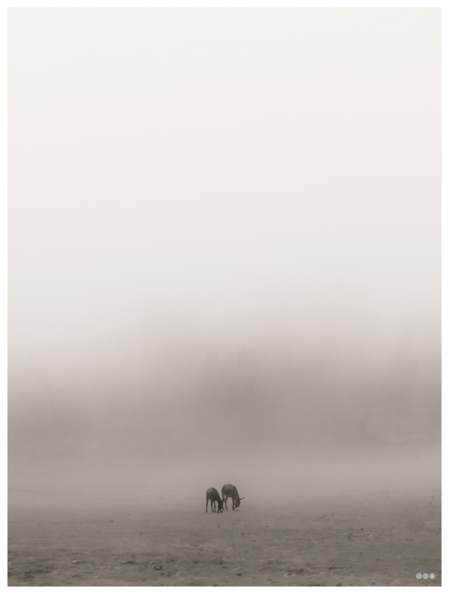 Main image RED³ PH Mamello III