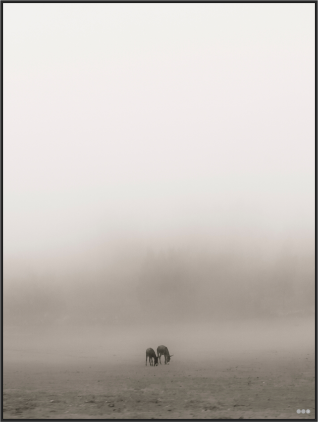 Main image FA PH Mamello III