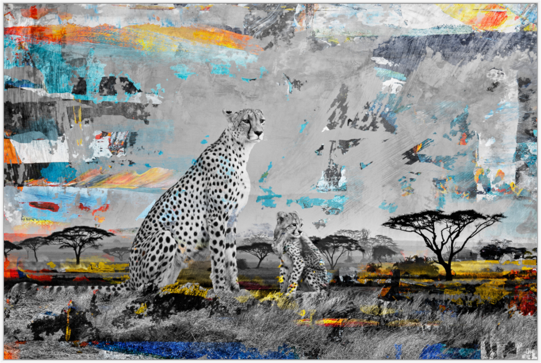 WILDCIRCUS Ladebayo I