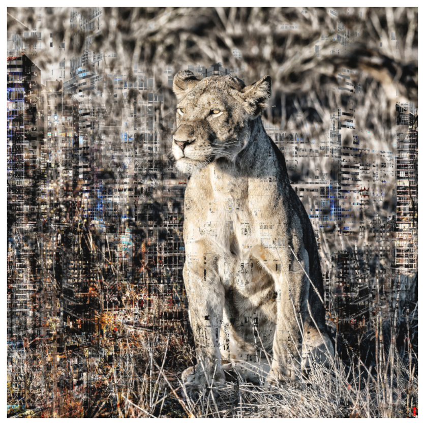 Main image RED³ WC Adwoa II