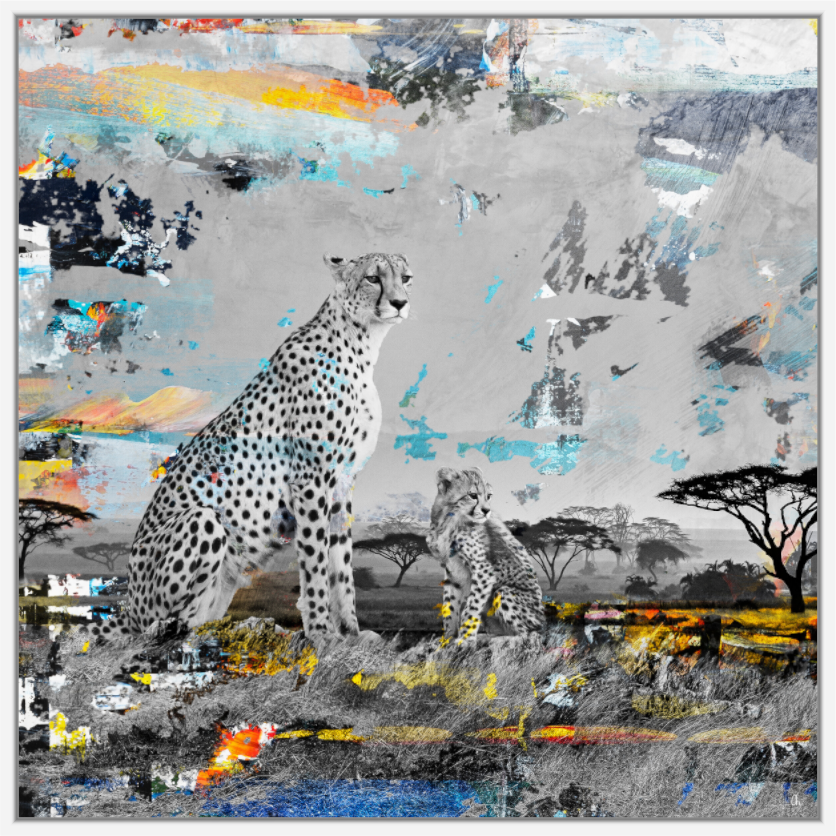 Mini Edition WILDCIRCUS Ladebayo II