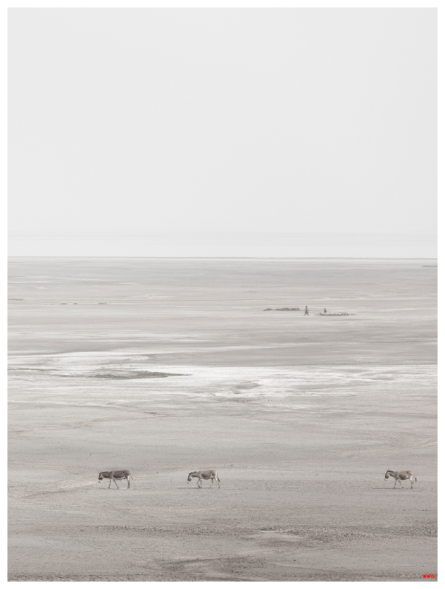 Main image RED³ PH Danai III