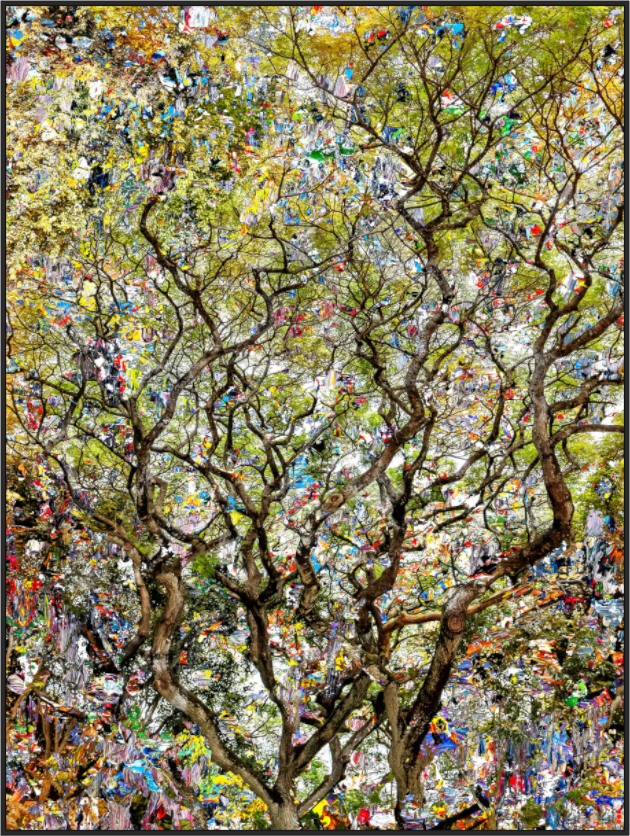 Main image FA HP Shakini III