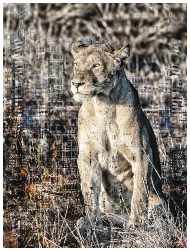 Main image RED³ WC Adwoa III