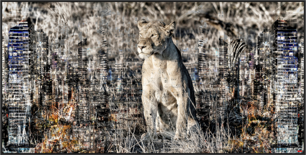 Main image FA WC Adwoa V