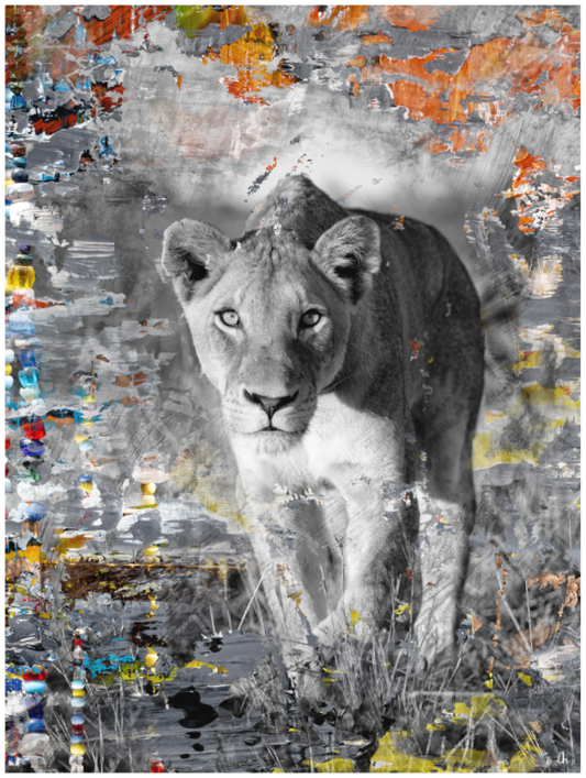 WILD CIRCUS Lamaya III