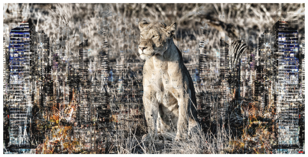 Main image RED³ WC Adwoa V