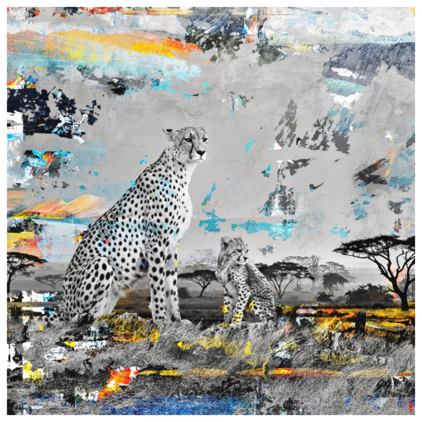 Main image RED³ WC Ladebayo II