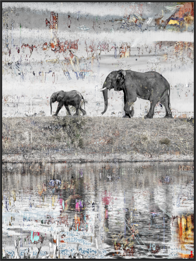 Main image FA WC Akuji III