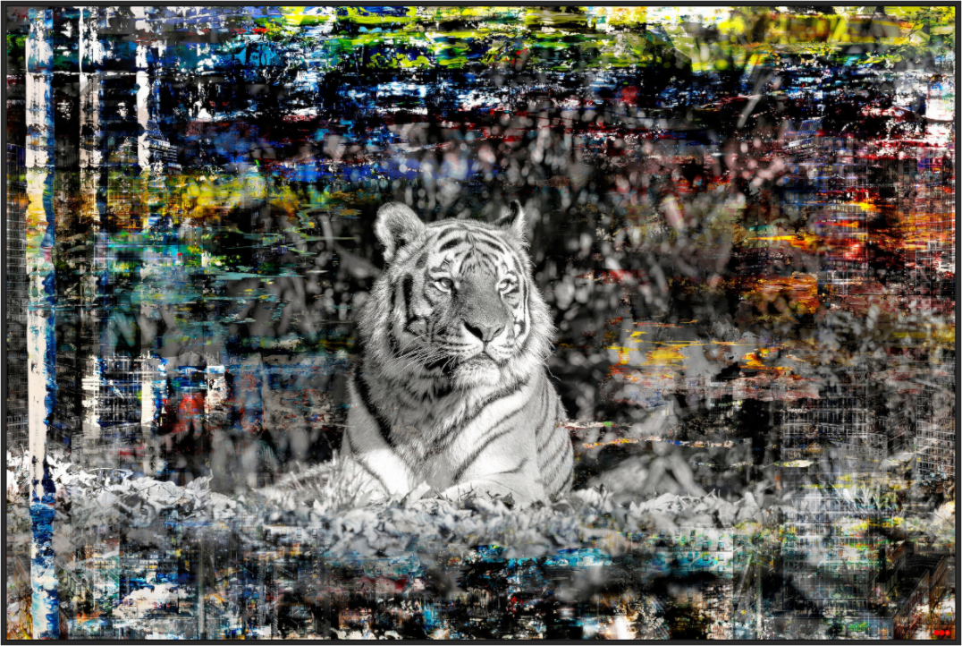 Main image FA WC Lubaya I