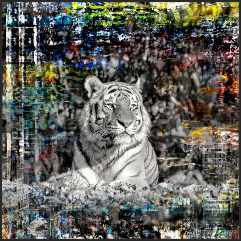 Main image FA WC Lubaya II