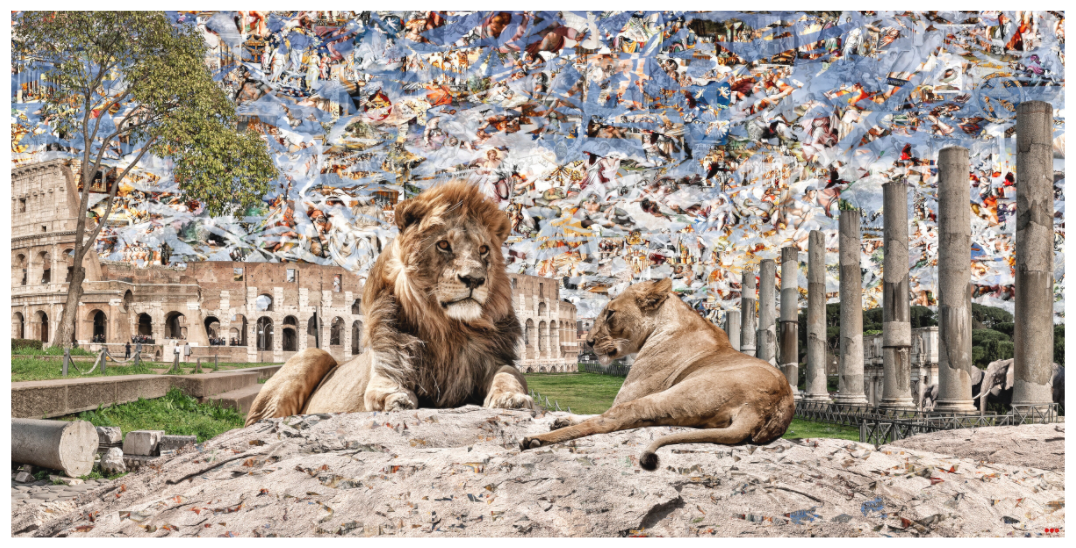 Main image RED³ WC Adjesa V