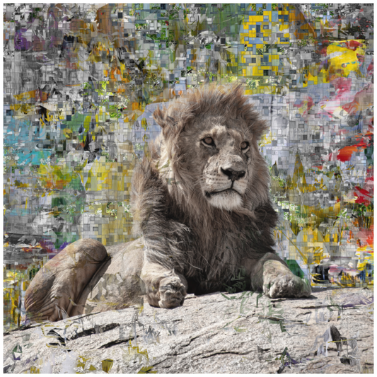 WILDCIRCUS Inteus II