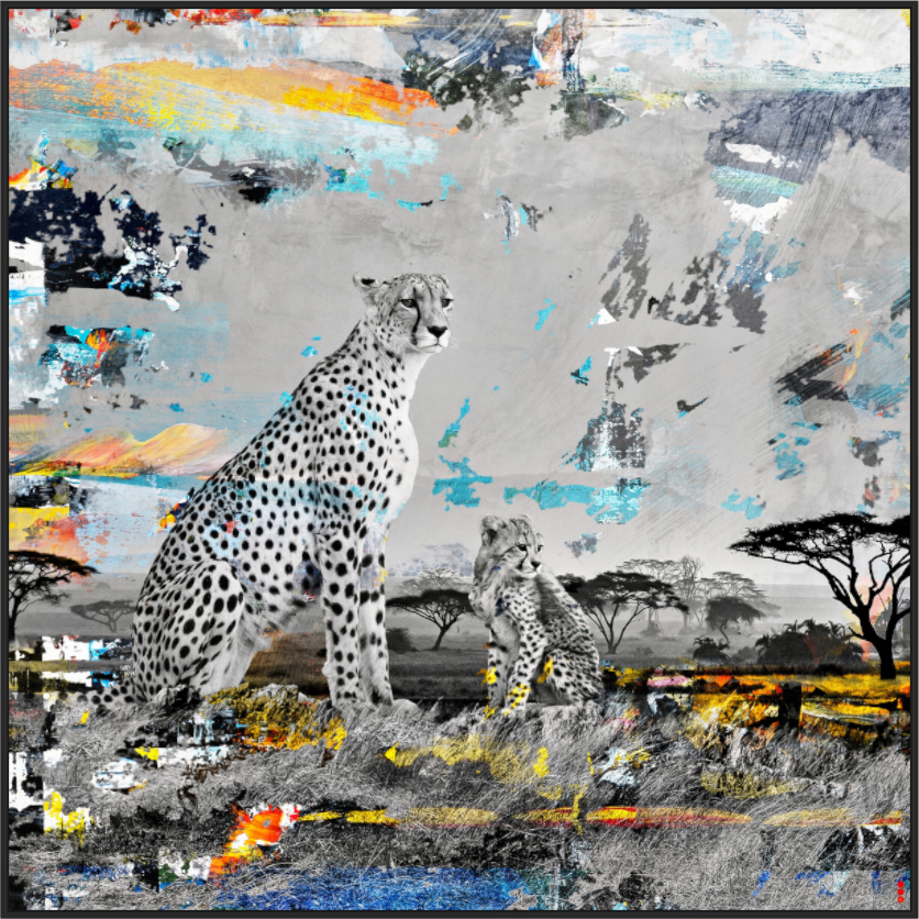 Main image FA WC Ladebayo II