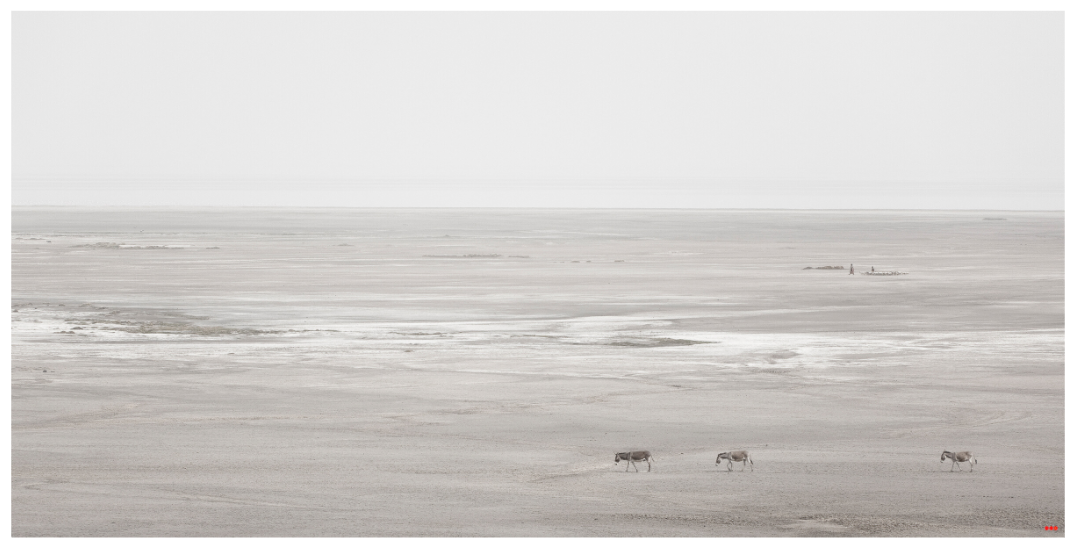 Main image RED³ PH Danai V