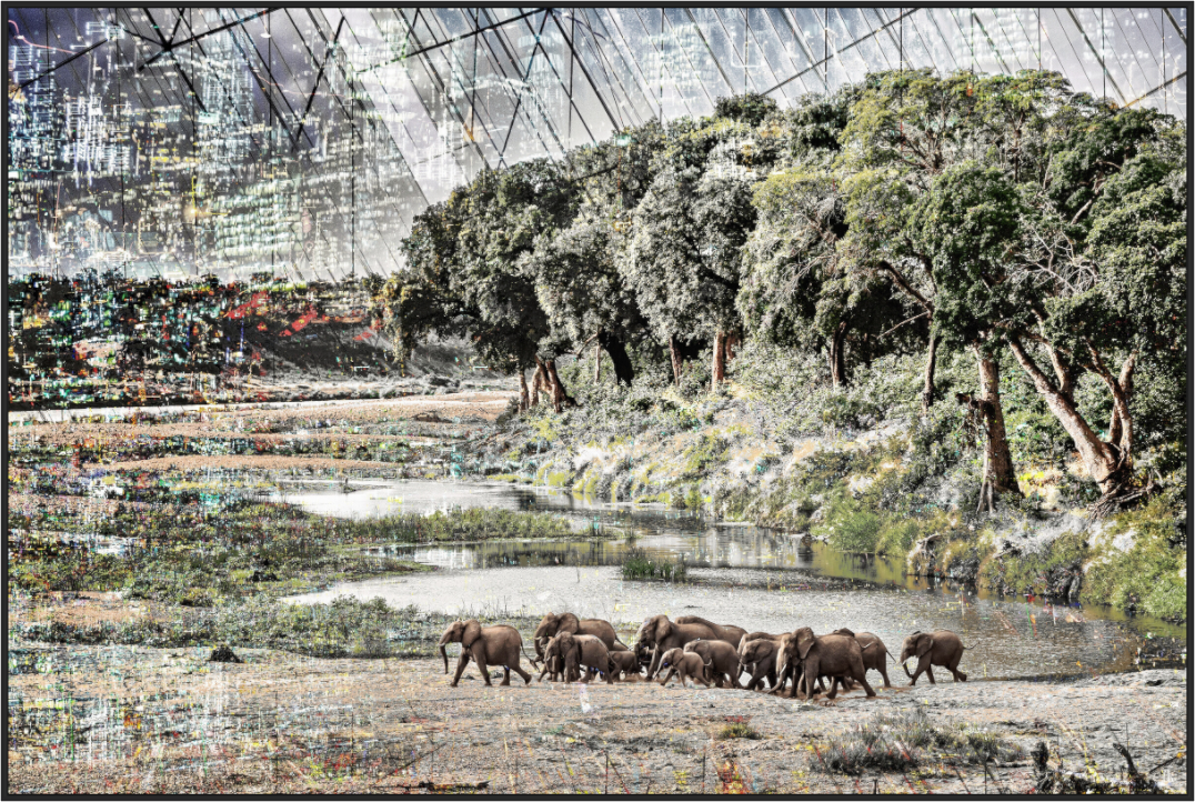 Main image FA WC Amazia I