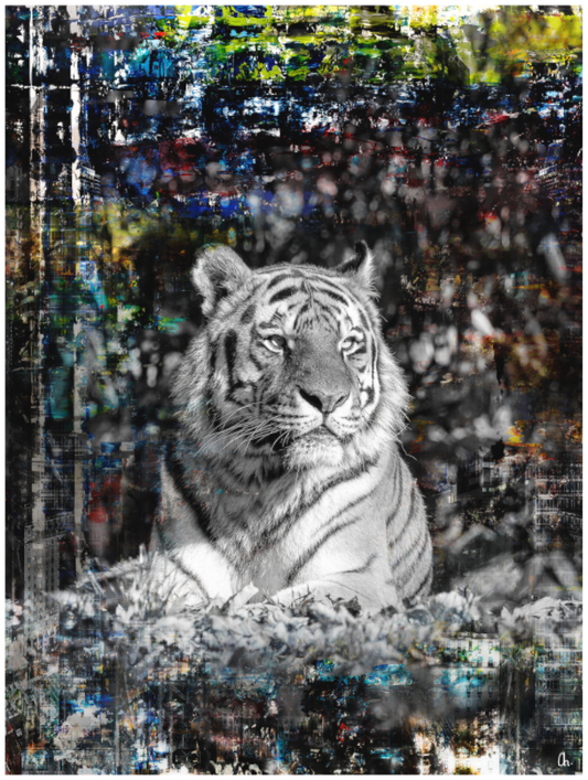 WILD CIRCUS Lubaya III