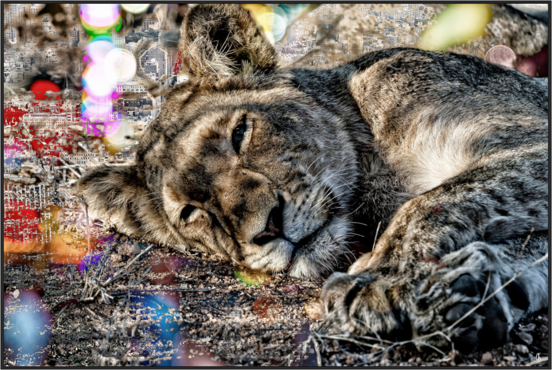 Main image FA WC Abiona I