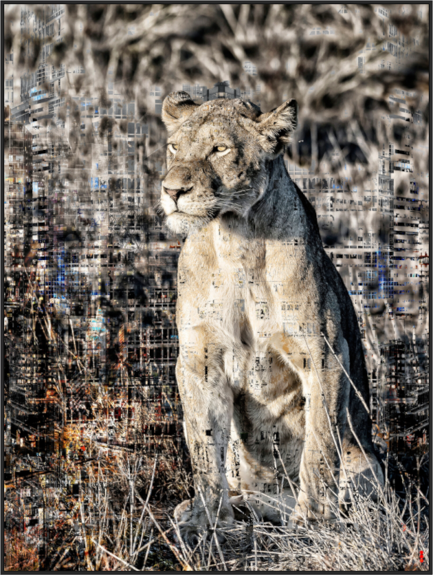 Main image FA WC Adwoa III