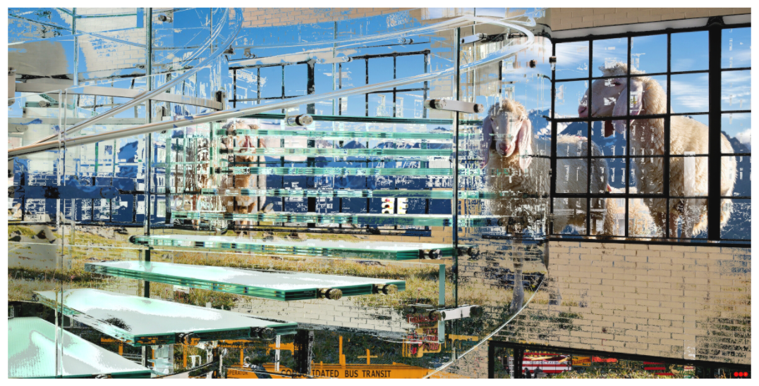 Main image RED³ HP Malia V