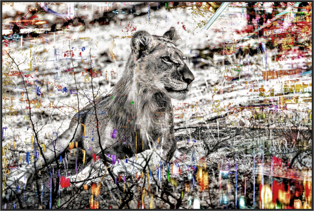 Main image FA WC Afia I