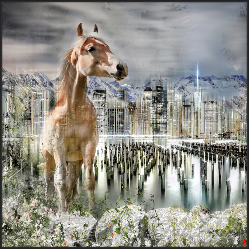 Main image FA HP Amazia II