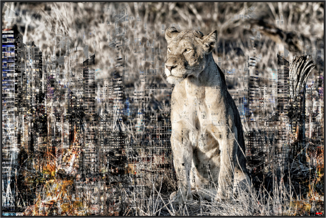 Main image FA WC Adwoa I