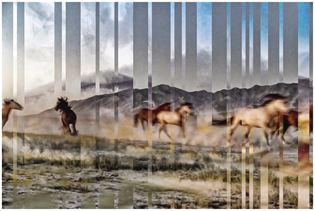 Wild Mustangs Beshiltheeni I
